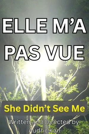 She Didn't See Me