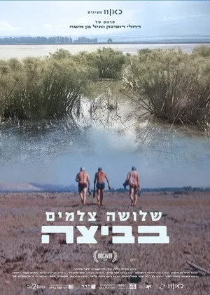 Wetland