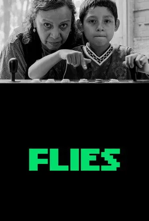 Flies