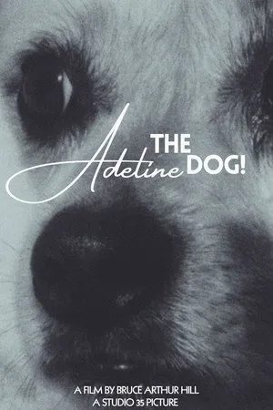 Adeline The Dog!