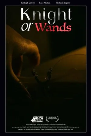 Knight Of Wands