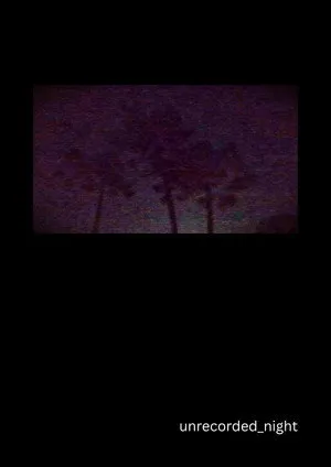 unrecorded_night