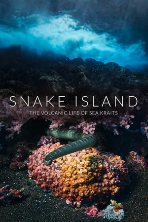 Snake Island: The Volcanic Life of Sea Kraits