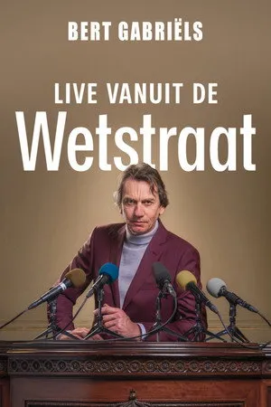 Bert Gabriëls: Live vanuit de Wetstraat