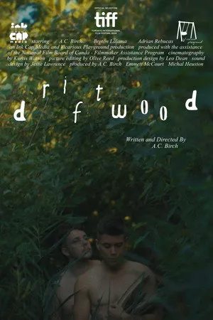 Driftwood