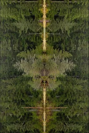 Mirrorpond