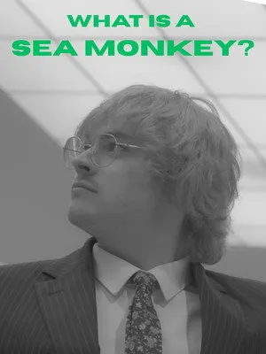 What Is A Sea Monkey?
