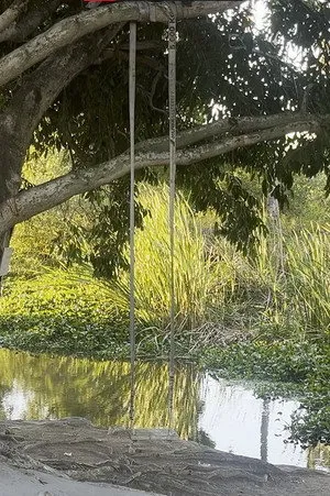 Na trilha do sol
