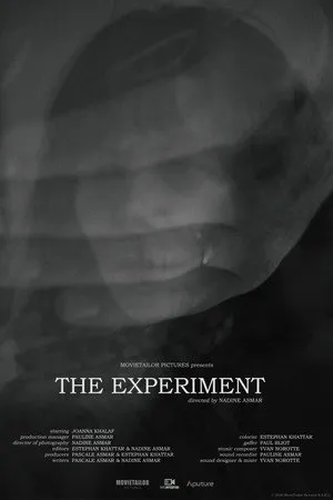 The Experiment